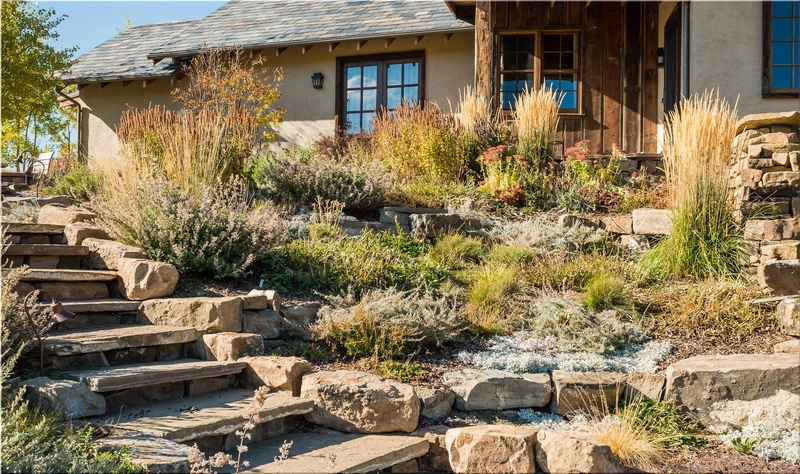 Landscape Designer