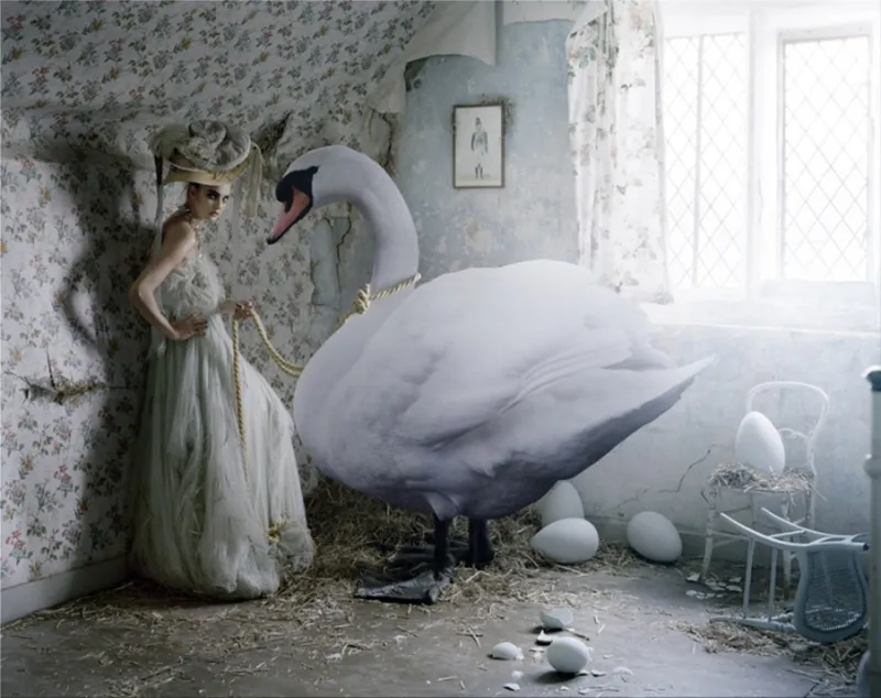 Tim Walker: Story Teller