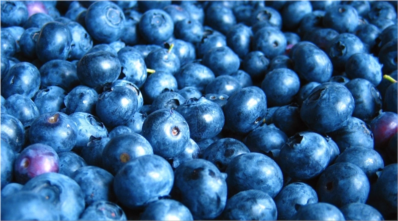 Blueberries
