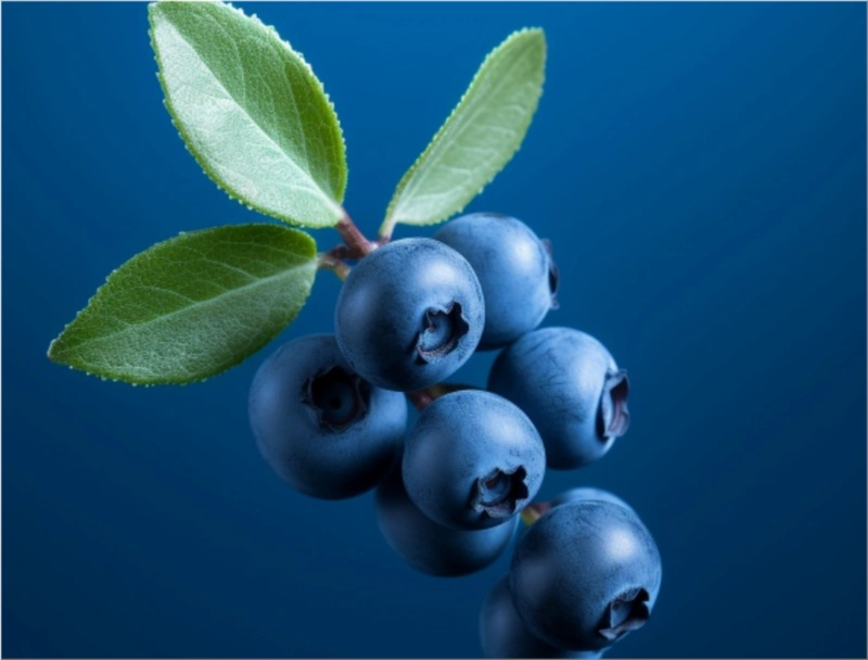 Blueberries