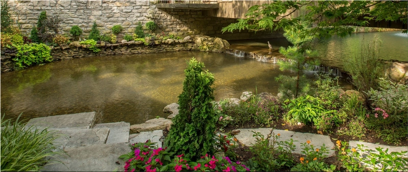 Landscape Designer