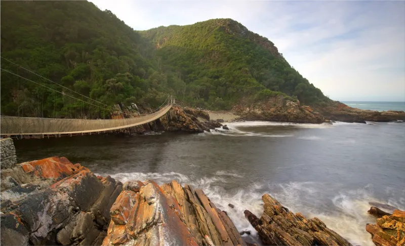 Tsitsikamma National Park