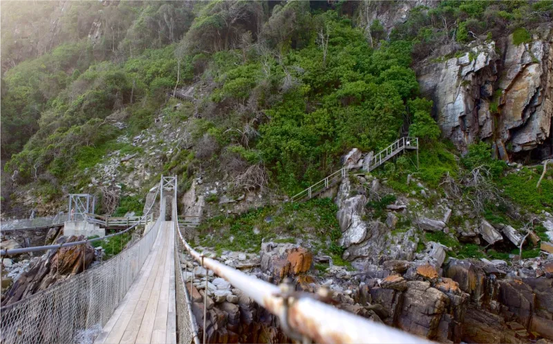 Tsitsikamma National Park