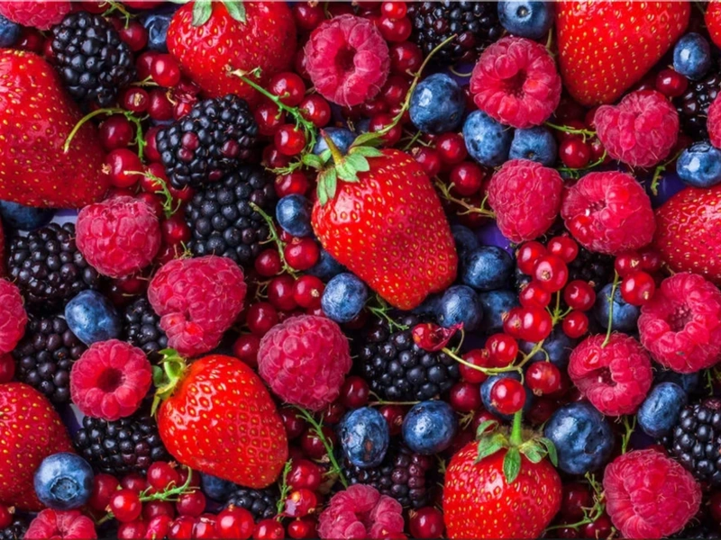 The 8 Best Fruits for Health Backed by Real Science and Practical Benefits