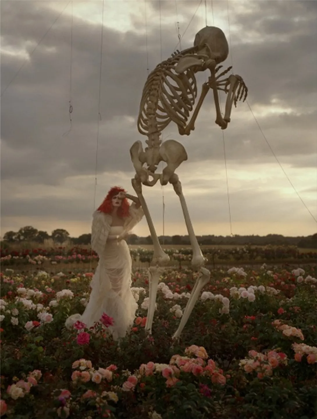 Tim Walker: Story Teller - A Must-See Exhibition for Fashion Photography Lovers